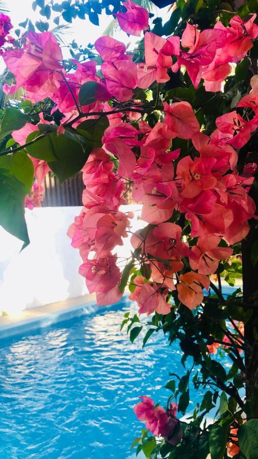 Villa North Coast Trou aux Biches Esterno foto